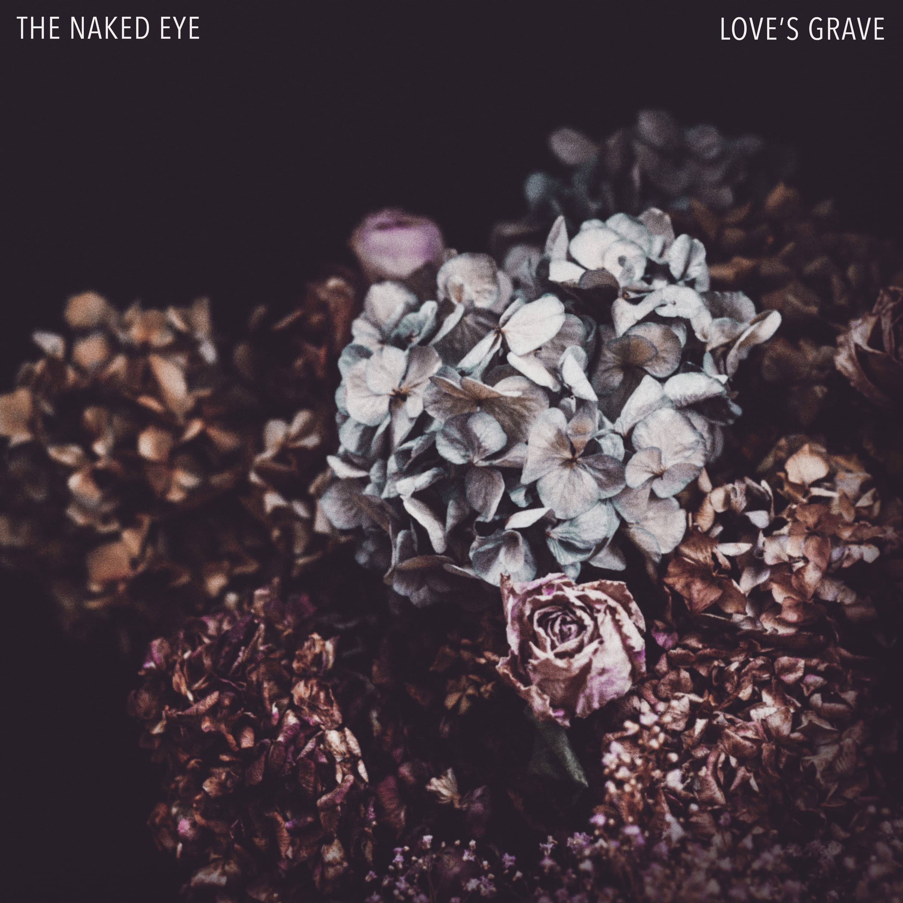 The Naked Eye — Loves Grave, 2019