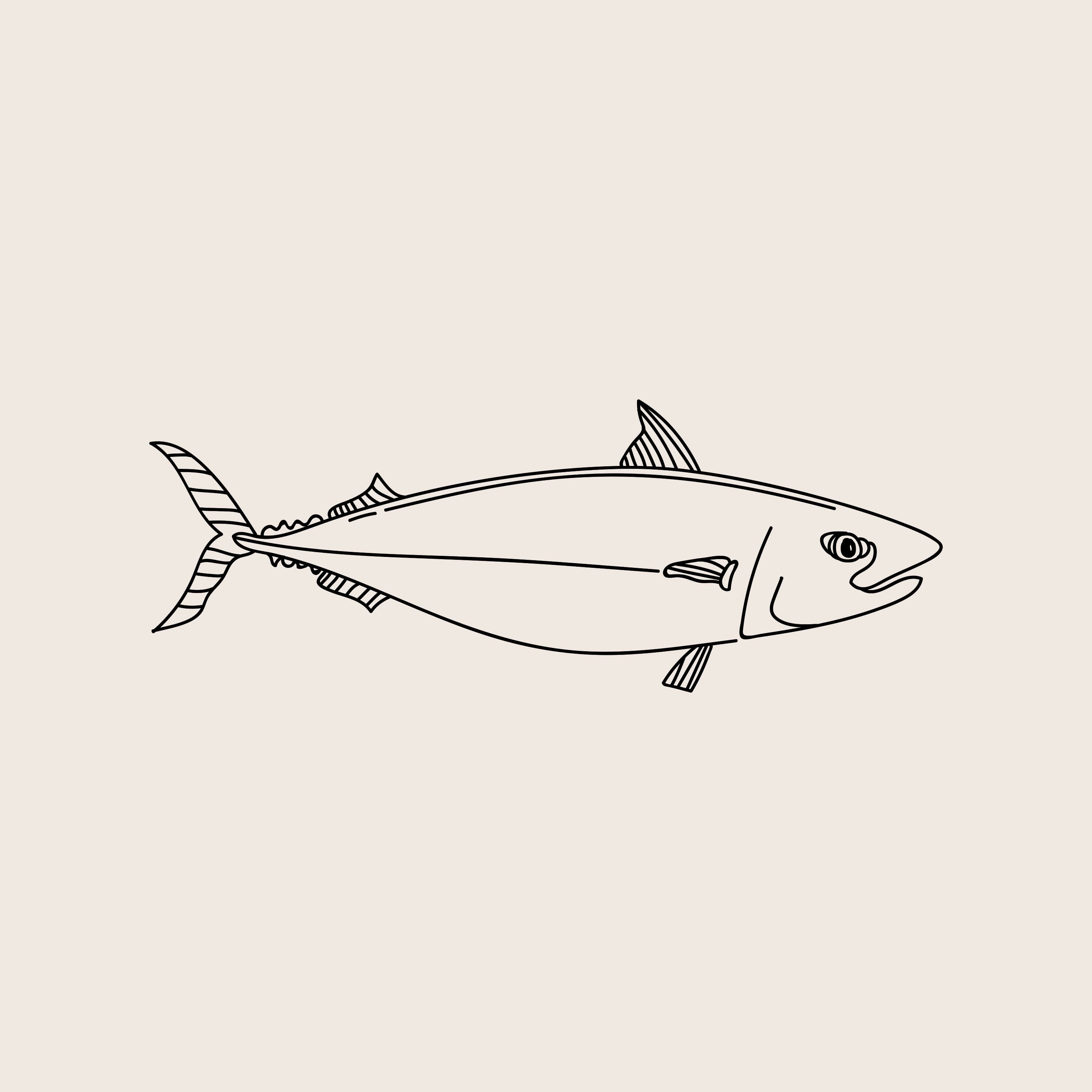 Mackerel & Wine — 100 days of bad drawings