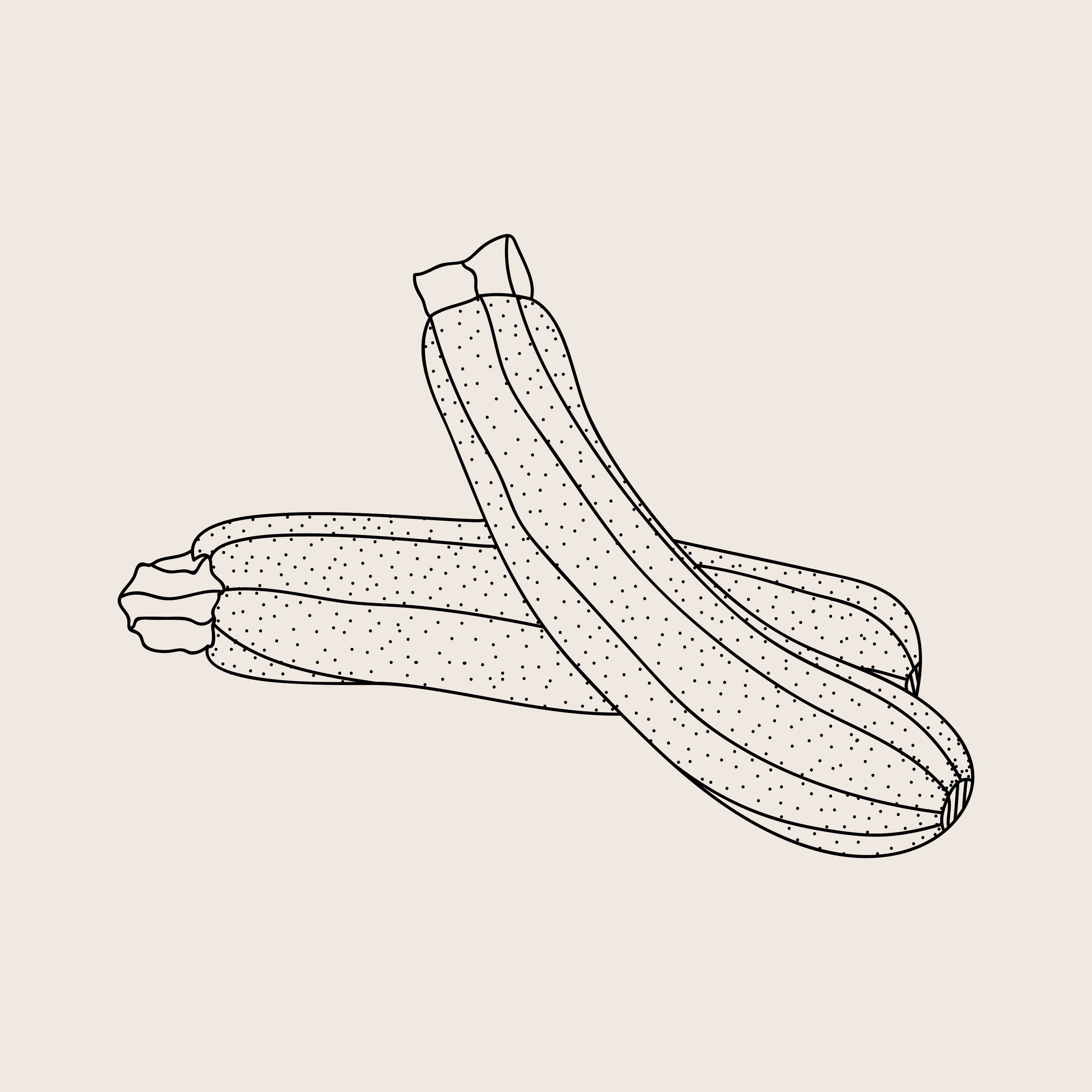 Mackerel & Wine — 100 days of bad drawings