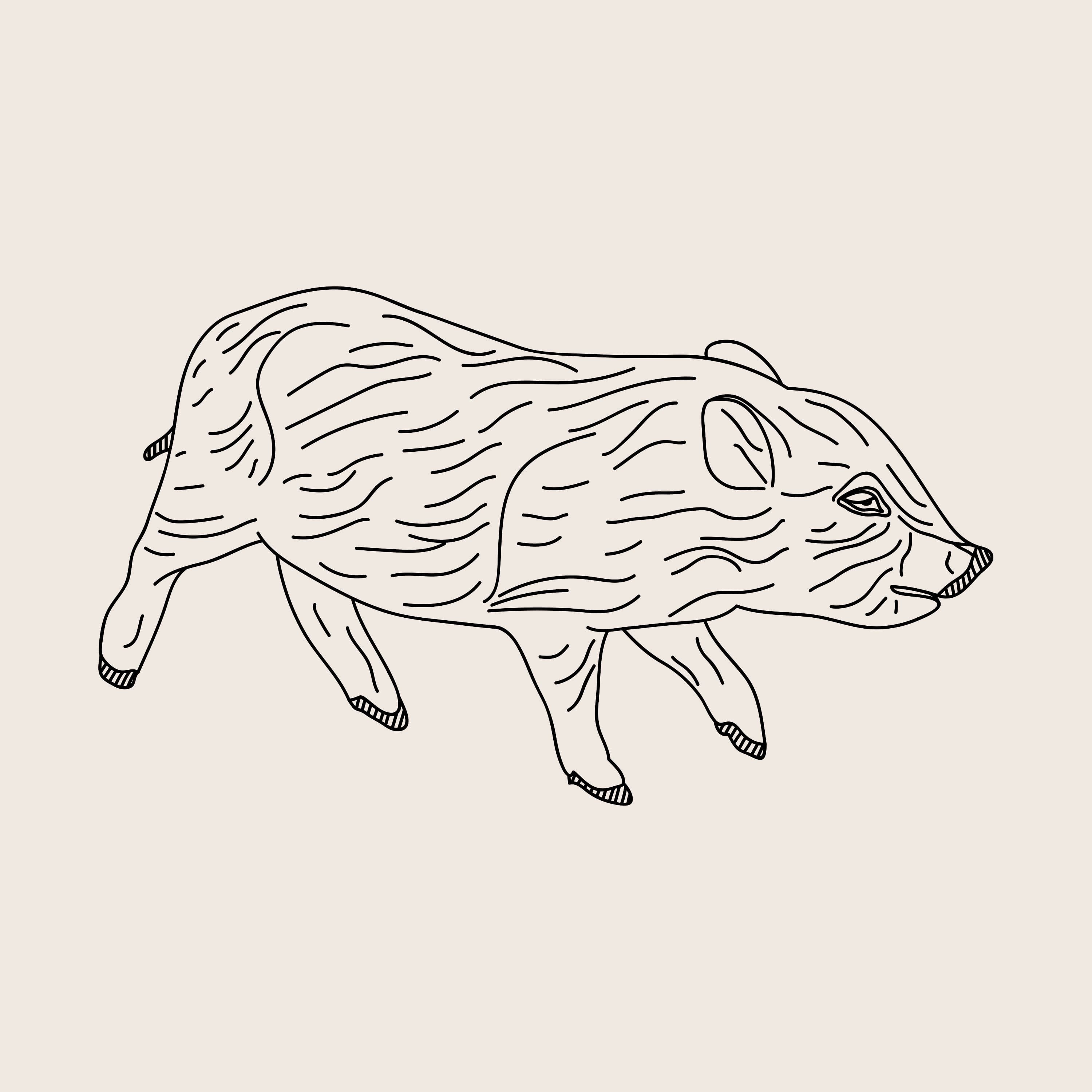 Mackerel & Wine — 100 days of bad drawings
