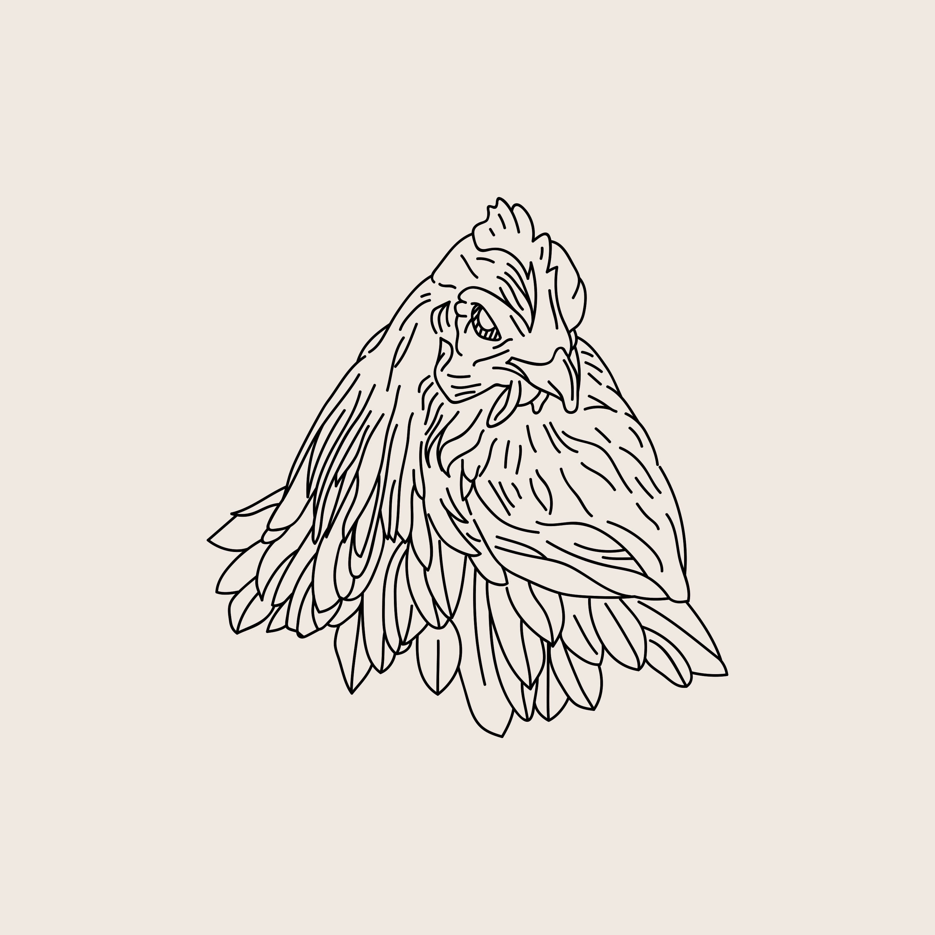 Mackerel & Wine — 100 days of bad drawings