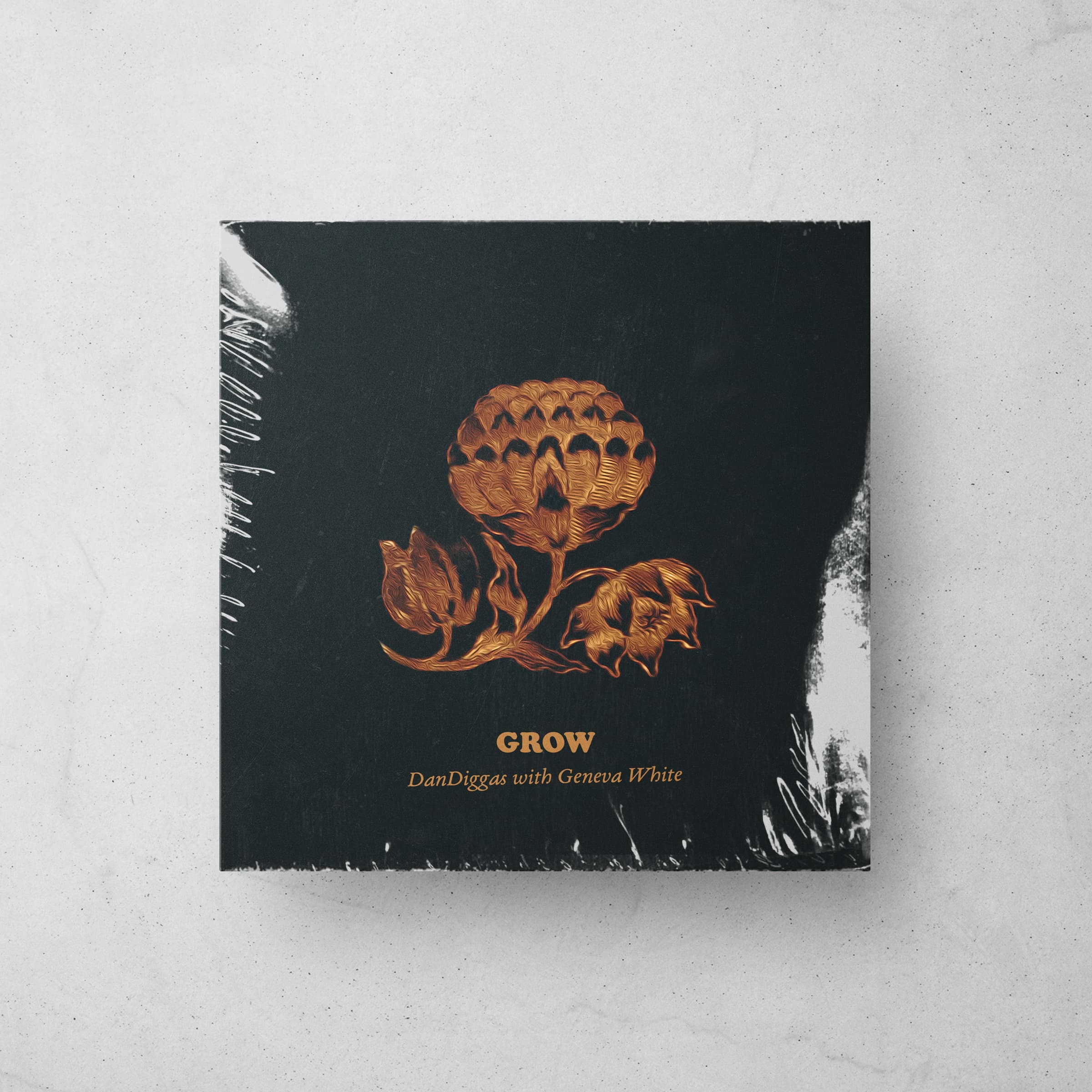 Dandiggas — Grow, 2021